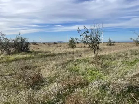 Участок в Крым, Ленинский район, Белинское с/пос, с. Новоотрадное ул. ...