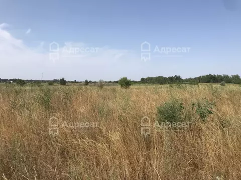 Участок в Волгоградская область, Среднеахтубинский район, Куйбышевское ...