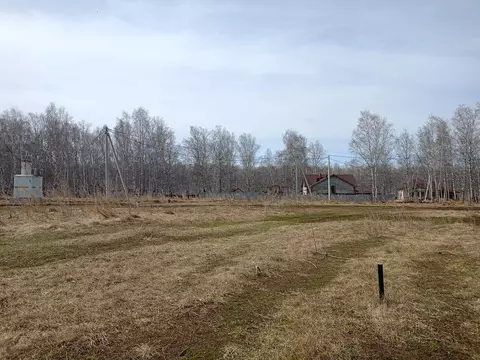 Участок в Челябинская область, Сосновский район, Кременкульское с/пос, ...