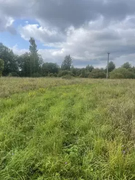 Участок в Псковская область, Гдовский район, Юшкинская волость, д. ...