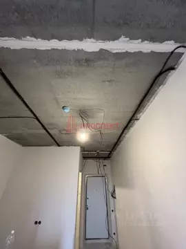 Студия Пензенская область, Пенза ул. Измайлова, 46 (19.7 м)