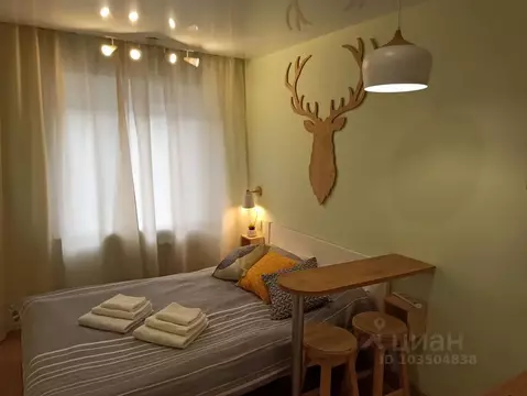 Студия Пермский край, Пермь ул. Борчанинова, 5 (15.0 м)