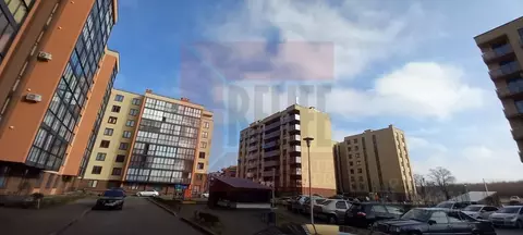 2-к кв. Калининградская область, Светлогорск Дачная ул., 6к2 (55.7 м)