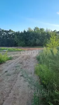 Участок в Амурская область, Благовещенский район, с. Чигири ул. ...