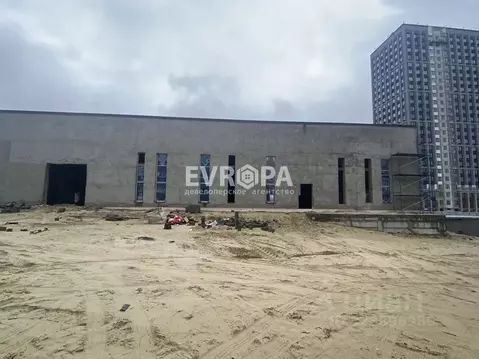 Торговая площадь в Ульяновская область, Ульяновск Новая Жизнь-2 мкр, 2 ...