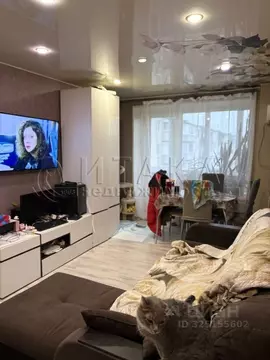 3-к кв. Ленинградская область, Лодейное поле ул. Гагарина, 13 (54.9 м)