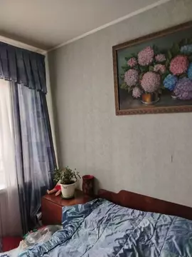 2-к кв. Нижегородская область, Нижний Новгород ул. Ванеева, 24 (47.0 ...