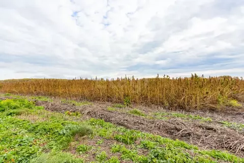 Участок в Тюменская область, Тюменский муниципальный округ, д. Большие ...