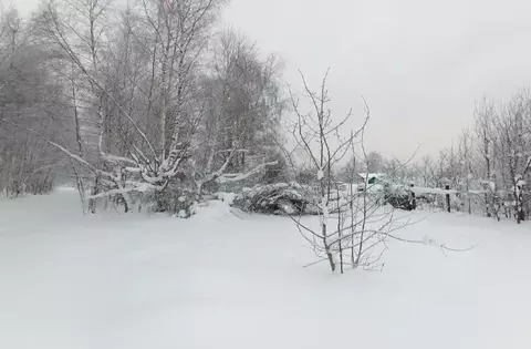 Участок в Московская область, Дмитровский муниципальный округ, д. ...
