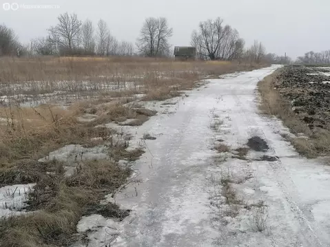 Участок в Новоусманский район, Орловское сельское поселение, село ...