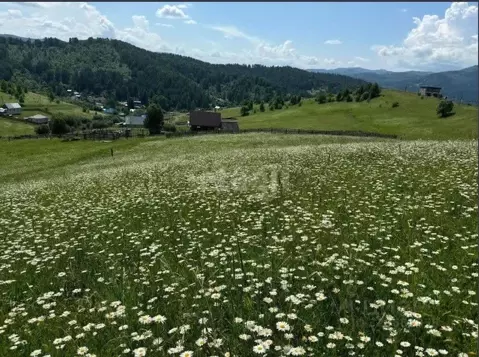 Участок в Алтай, Майминский район, с. Кызыл-Озек ул. Калиновая, 48 ...