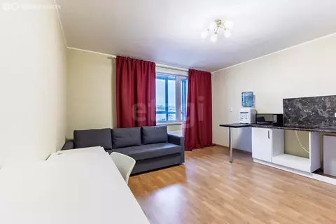 Квартира-студия: Мурино, проспект Авиаторов Балтики, 9к3 (24.9 м)