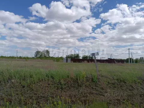 Участок в Новосибирская область, Новосибирский район, Ярковский ...