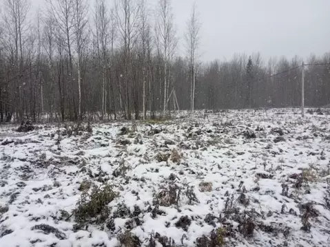 Участок в Ленинградская область, Всеволожский район, Рахьинское ...