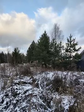 Участок в Московская область, Раменский муниципальный округ, д. Минино ...