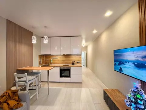 Студия Московская область, Одинцово ул. Каштановая, 10 (30.0 м)