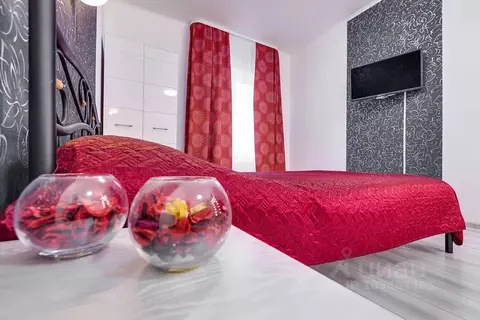 Студия Ленинградская область, Никольское Тосненский район, Октябрьская ...