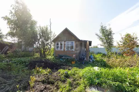 Участок в Тюменская область, Тюмень Связист садовое товарищество, ...