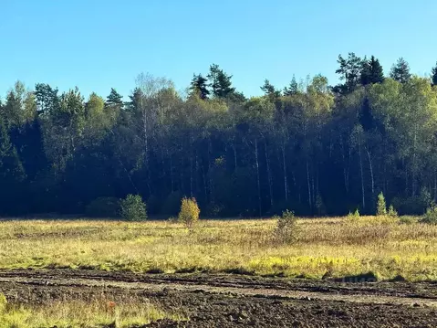 Участок в Московская область, Дмитровский муниципальный округ, Ерыково ...