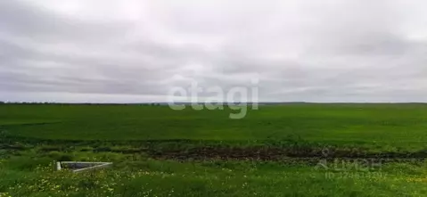 Участок в Крым, Ленинский район, Семисотское с/пос, с. Каменское ул. ...