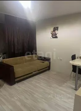 Студия Новосибирская область, Новосибирск ул. Виктора Шевелева, 24 ...