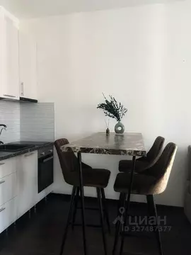 Студия Санкт-Петербург Фарфоровская ул., 7к1 (24.8 м)