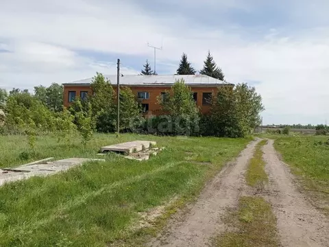 Помещение свободного назначения в Курская область, Золотухинский ...