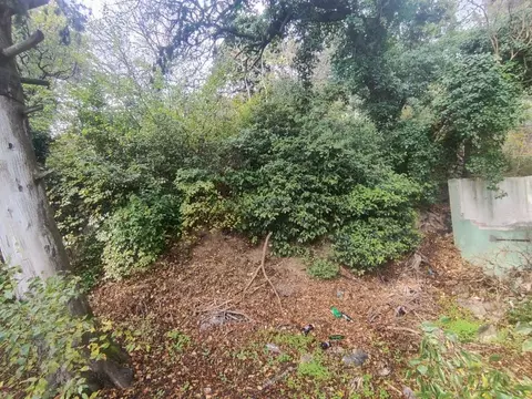 Участок в Крым, Ялта муниципальный округ, Кореиз пгт ул. Южная (6.0 ...