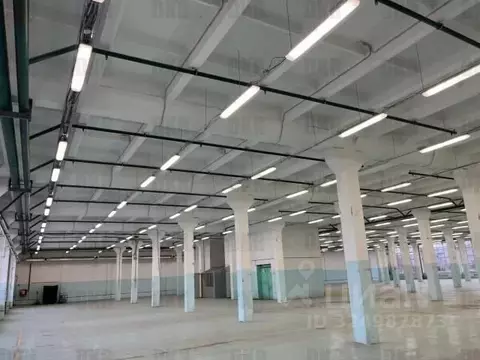 Склад в Московская область, Щелково Фабричная ул., 1с7 (4415 м)