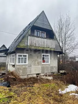 Участок в Вологодская область, Вологда Парус садоводческое ...