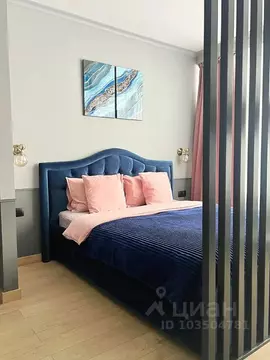 1-к кв. Свердловская область, Екатеринбург ул. Белинского, 108 (37.0 ...