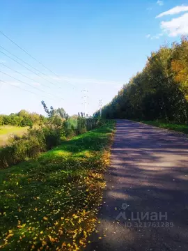 Дом в Тамбовская область, Тамбовский муниципальный округ, пос. Елагино ...