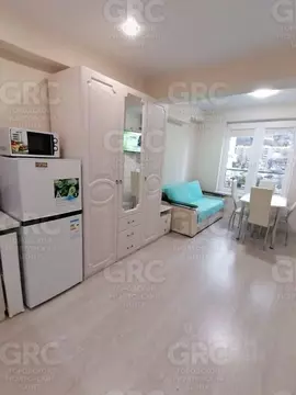 Студия Краснодарский край, Сочи городской округ, Дагомыс пгт ул. ...