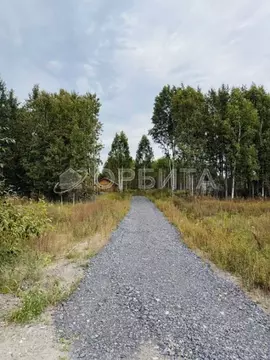 Участок в Тюменская область, Нижнетавдинский муниципальный округ, ...