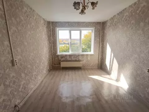 Студия Кемеровская область, Юрга ул. Машиностроителей, 49 (16.6 м)