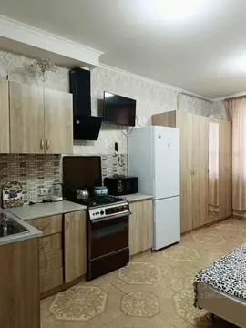 Студия Краснодарский край, Сочи ул. Макаренко (28.0 м)