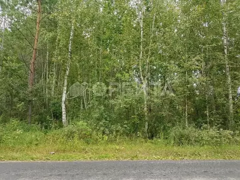 Участок в Тюменская область, Нижнетавдинский район, Сундукульский ...