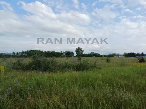 Участок в Адыгея, Майкопский район, Победенское с/пос, Шаумян хут.  ...