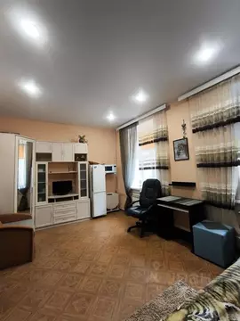 Комната Санкт-Петербург Большая Пушкарская ул., 26к1 (17.0 м)