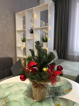 Студия Московская область, Одинцовский городской округ, Новоивановское ...