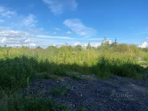 Участок в Хабаровский край, Хабаровский район, с. Ракитное  (45.0 ...