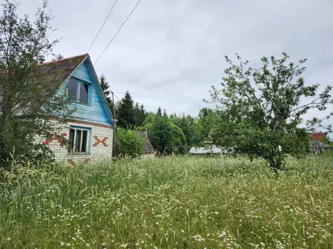 Участок в Карелия, Пряжинский район, Святозерское с/пос, Пелдожское ...
