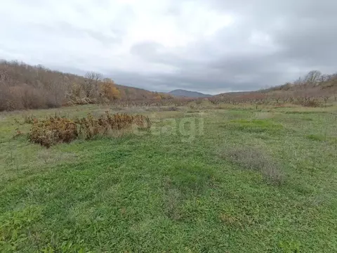 Участок в Крым, Симферопольский район, Добровское с/пос, с. ...