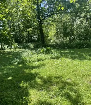 Участок в Московская область, Чехов муниципальный округ, пос. Луч ул. ...
