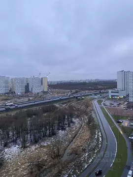 Студия Санкт-Петербург ул. Чарушинская, 12 (26.0 м)