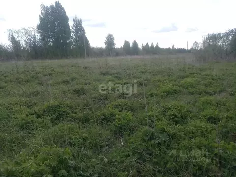Участок в Архангельская область, Приморский муниципальный округ, д. ...