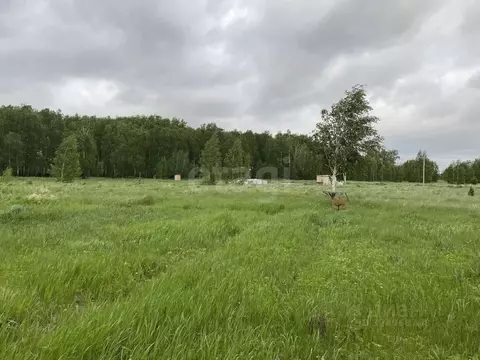 Участок в Курганская область, Кетовский муниципальный округ, ...
