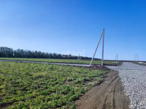 Участок в Ростовская область, Азовский район, Новоалександровское ...