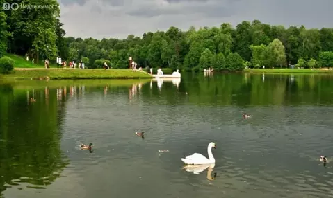 2-комнатная квартира: Екатеринбург, улица Малышева, 132 (59.2 м)