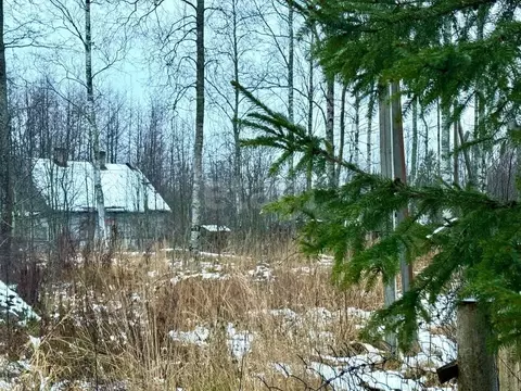 Участок в Ленинградская область, Всеволожский район, Рахьинское ...